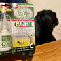 Gun oil and a black labrador