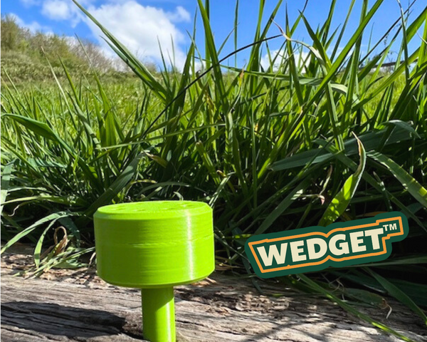 green wedget in wood