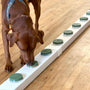 Chocolate labrador sniffing boxes