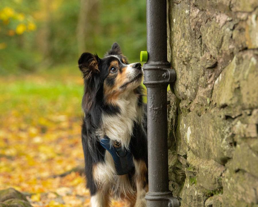 Magnetic Scent Equipment