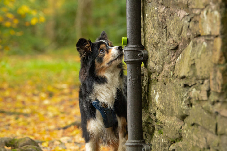 Magnetic Scent Equipment