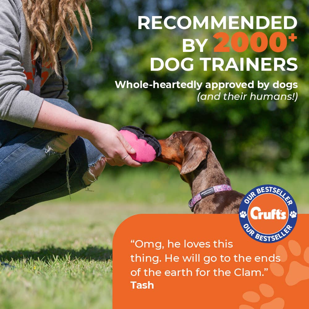 The Clam - Treat dispensing training toy