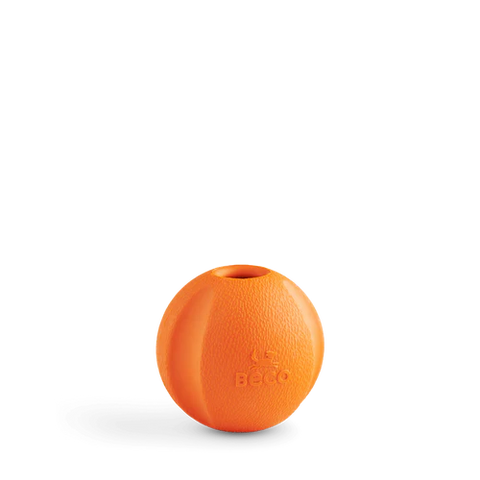 FETCH BALL