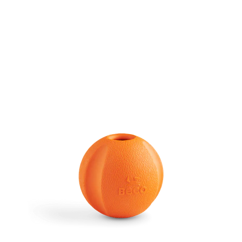 FETCH BALL