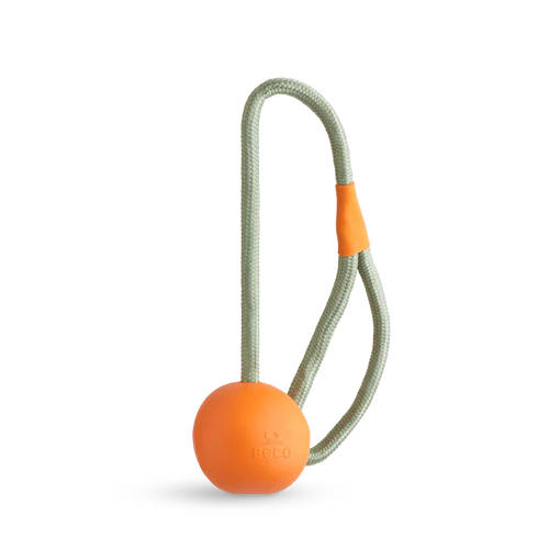 Slinger Ball