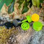 Scentwork lids no vent 