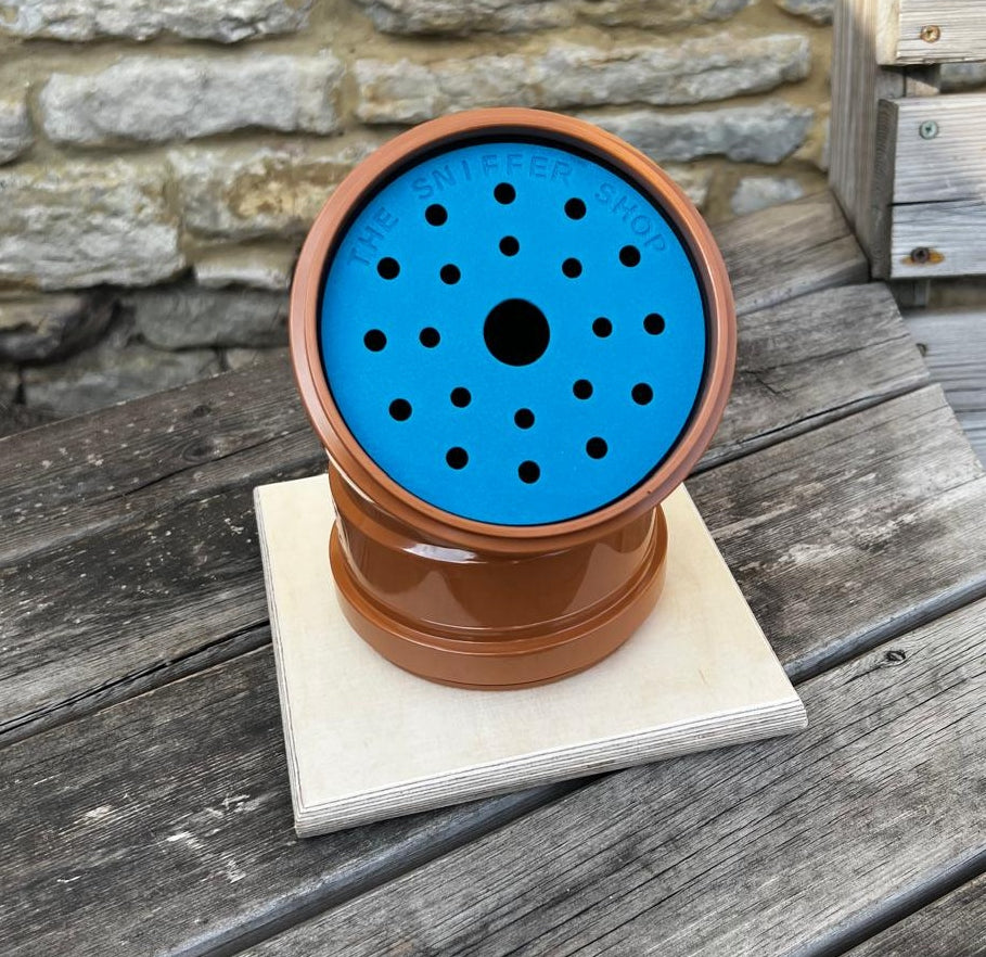 Blue Nosey scentwork cover