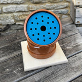 Blue Nosey scentwork cover