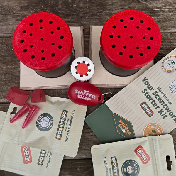 KONG Scentwork Starter Kit