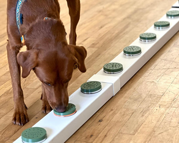 The Sniffer Dog System - 20 POT KIT