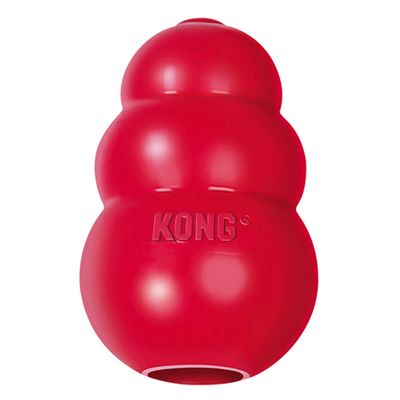 Red Kong Toy for scentwork