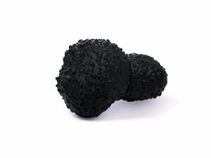 Black fake truffle dog training
