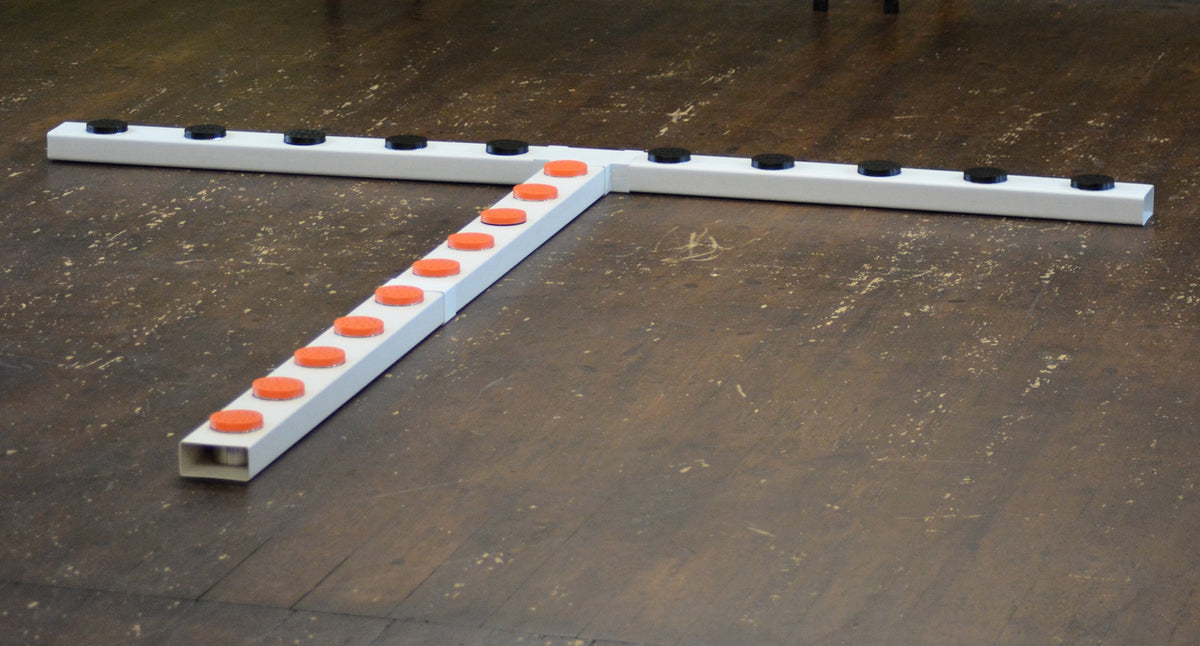 T shaped scentwork line up system
