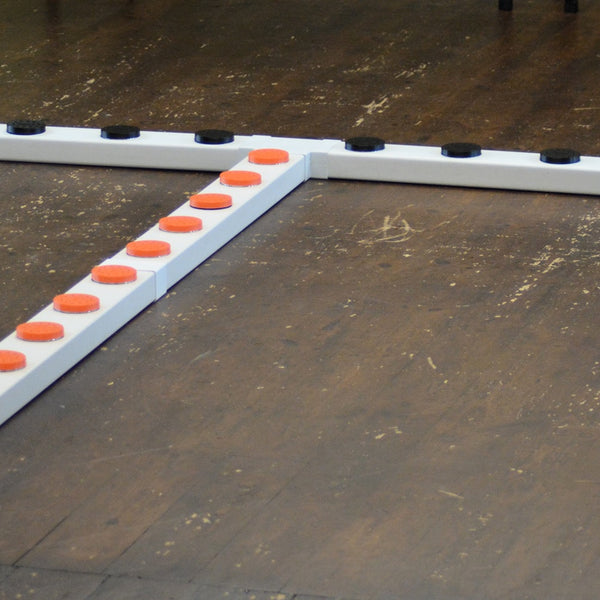 T shaped scentwork line up system