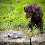 Dog sniffing scent work equipment