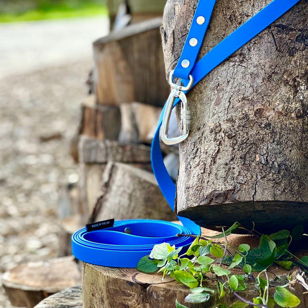 blue biothane lead with carabiner