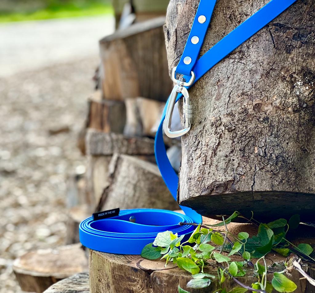 blue biothane lead with carabiner