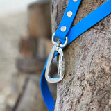 blue biothane lead with carabiner