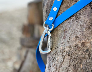 blue biothane lead with carabiner