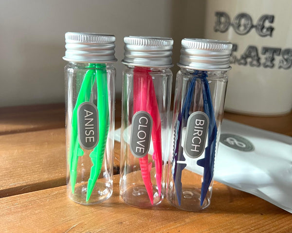 Forceps in Tube - Pack of 3 ( labelled )