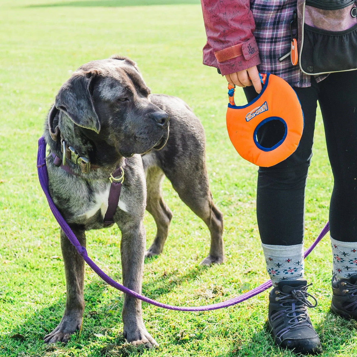 Aero-Tug Interactive Frisbee: Lightweight, Water-Safe & Soft