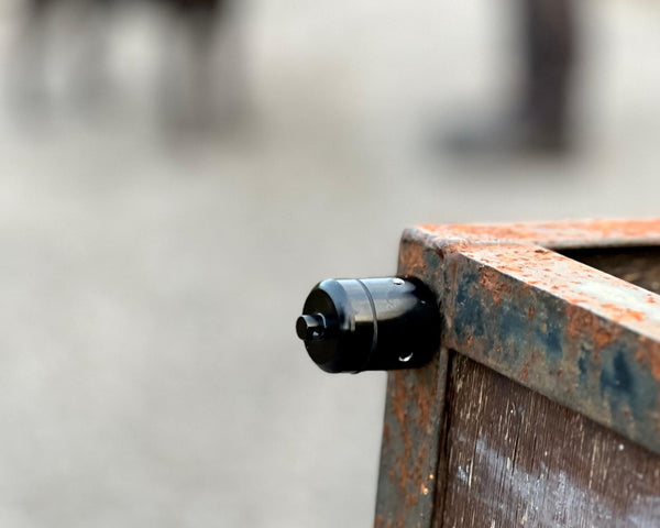 black scentwork vessel