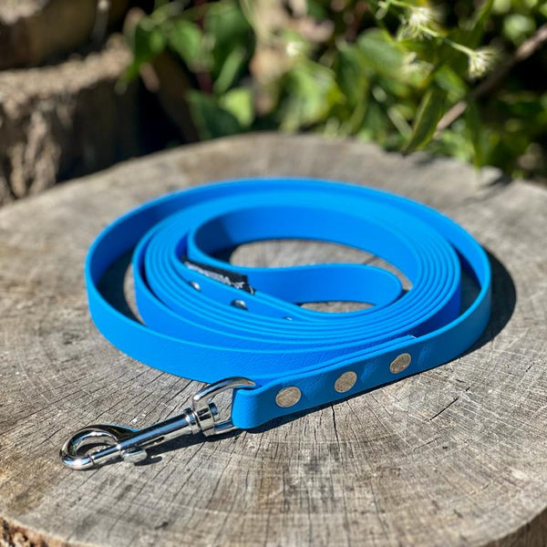 Blue Biothane® Scentwork lead