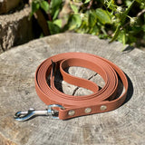 Brown Biothane® Scentwork Lead