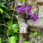 hanging scent pod for dog training