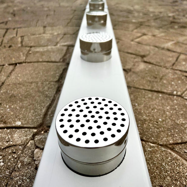 Scentwork Line-Up Introduction Set