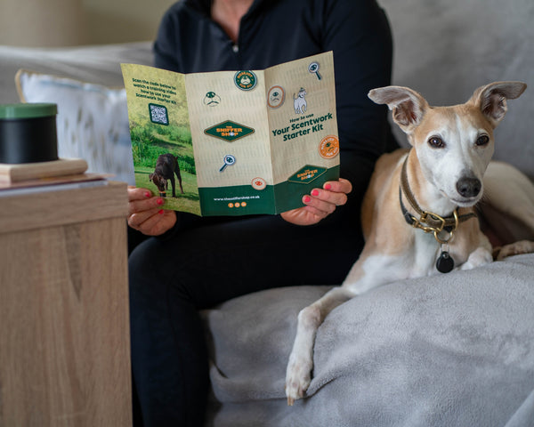 Ready to Sniff Scentwork Starter Kit with Scent
