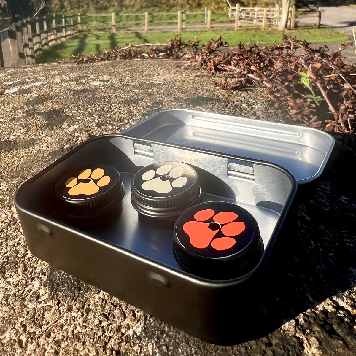 A black metal tin with the lid open, holding three small round black containers with paw-print designs in orange, beige, and red. The tin is placed outdoors on a stone surface with a fence and grass in the background.