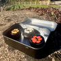 A black metal tin with the lid open, holding three small round black containers with paw-print designs in orange, beige, and red. The tin is placed outdoors on a stone surface with a fence and grass in the background.