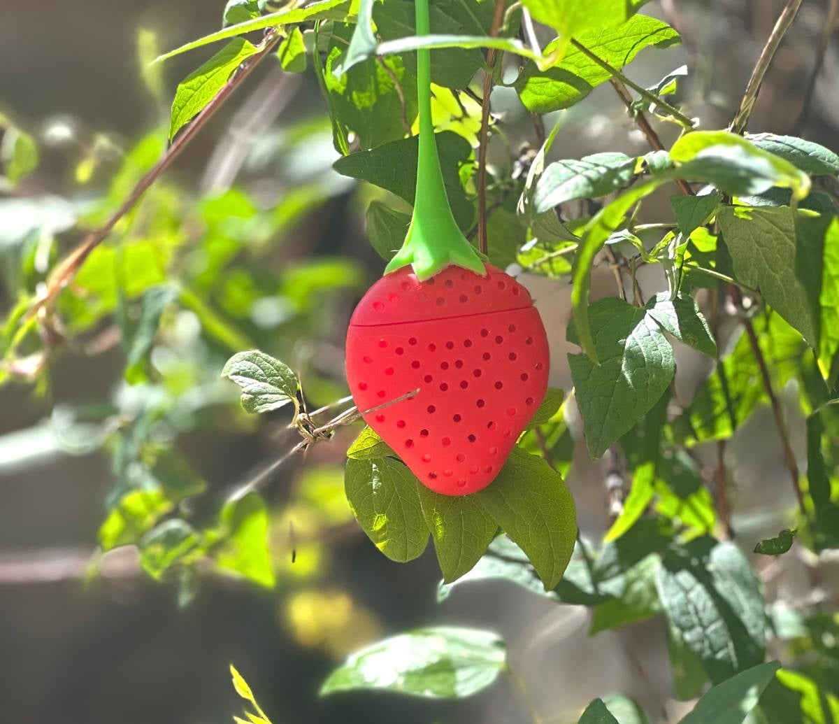 Fun Strawberry Silicone Hide
