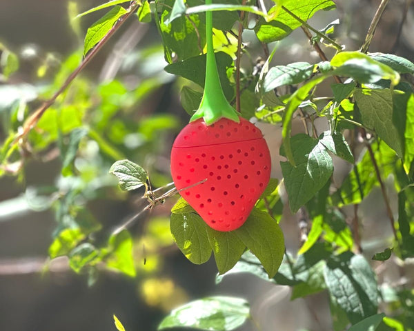 Fun Strawberry Silicone Hide