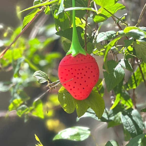 Fun Strawberry Silicone Hide