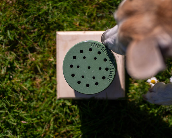 Sniffer Pot™ with base
