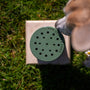 Sniffer Pot™ with base