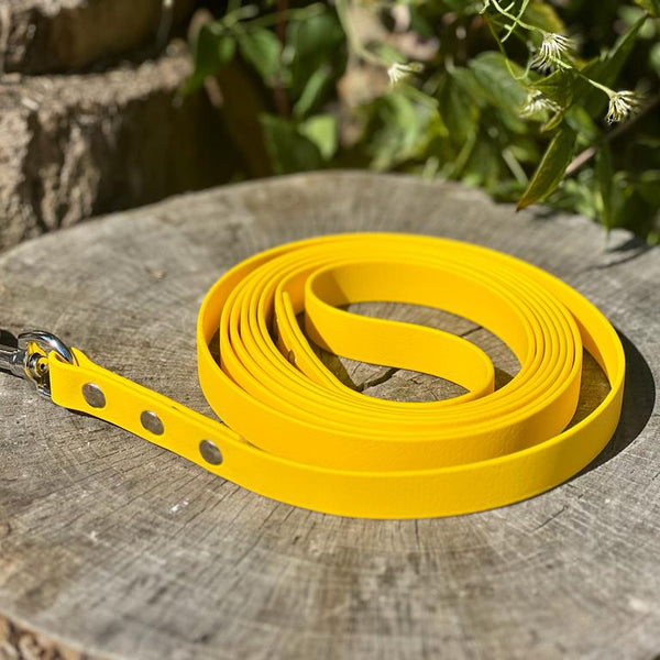 Biothane Line 3m Biothane® long lines for Scentwork – The Sniffer Shop